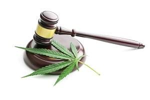 The Economics of Marijuana Legalization